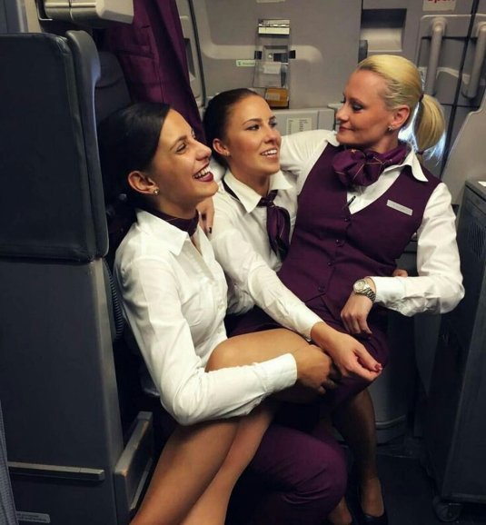 красивые стюардессы