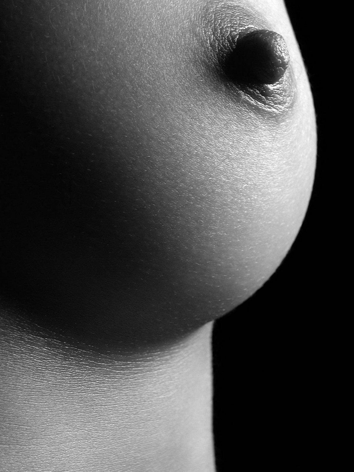 Красивая грудь черно белое (67 фото) .