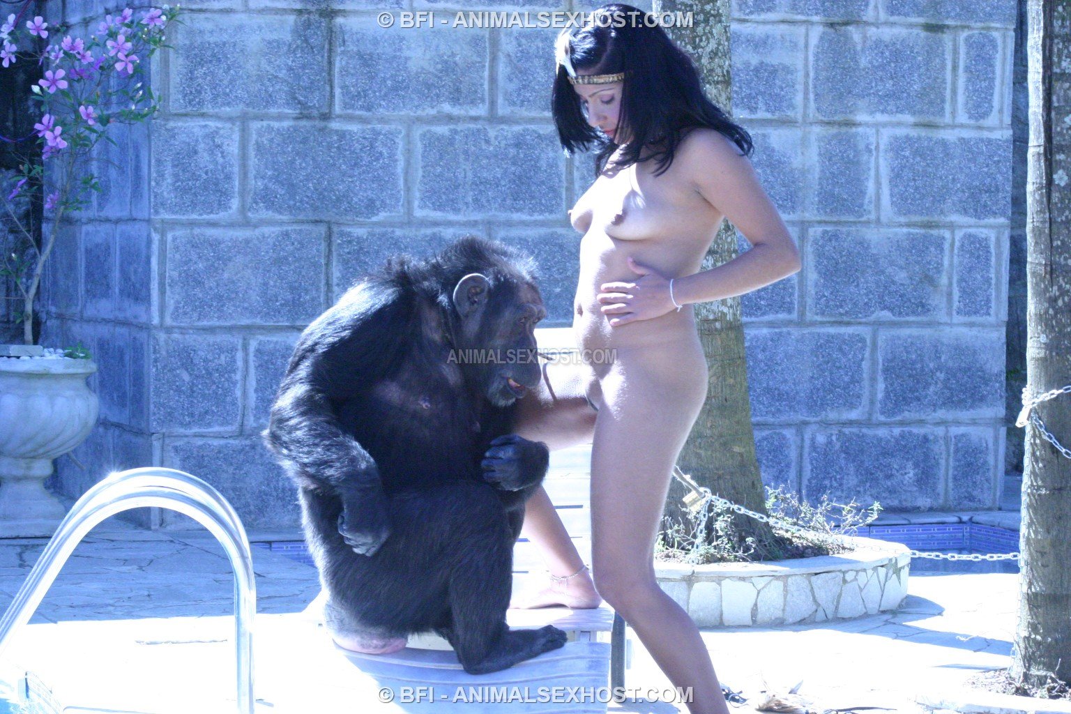 женщину трахает обезьяна порно зоо фото 99
