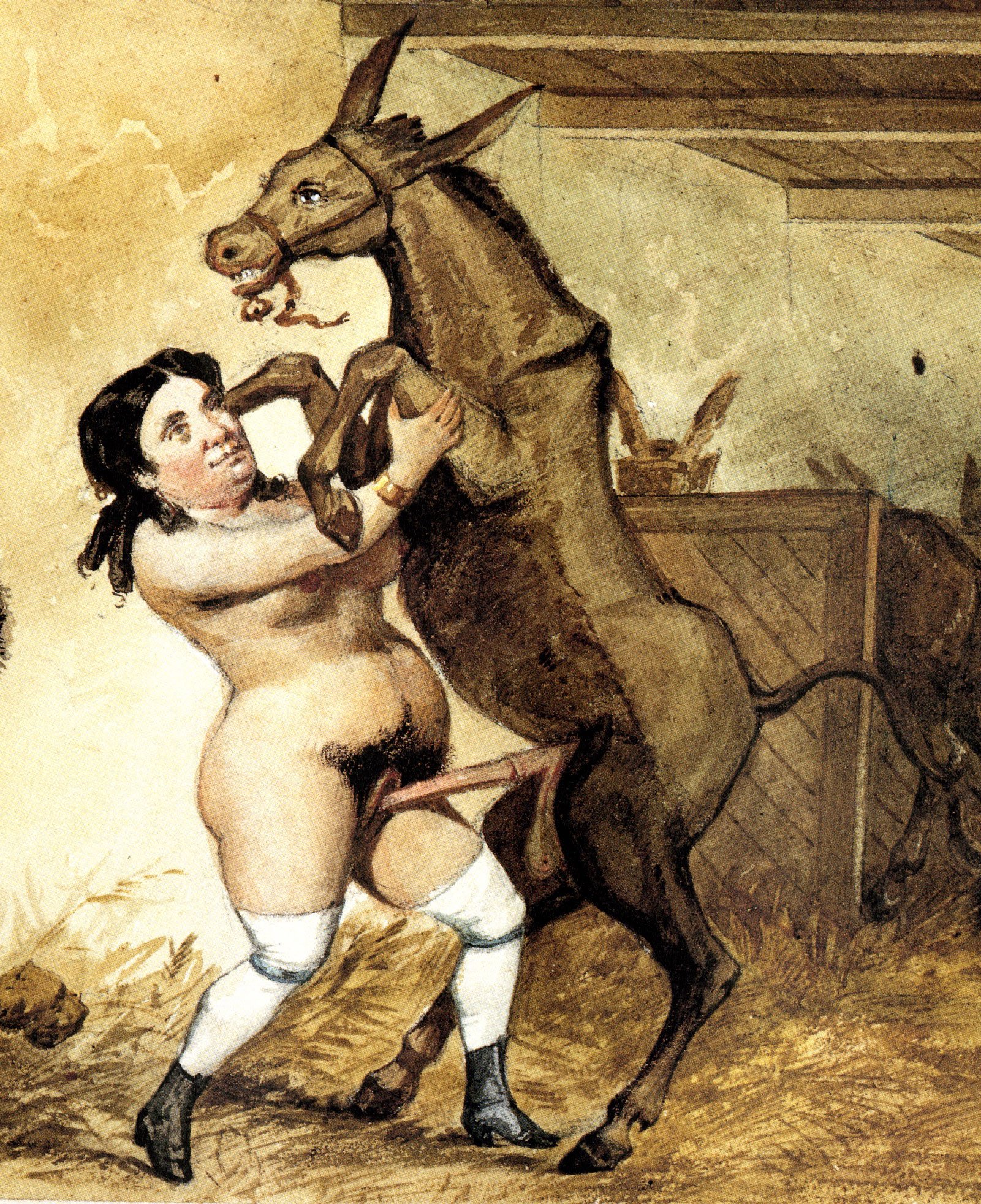 лошадь трахает толстую бабу фото 93
