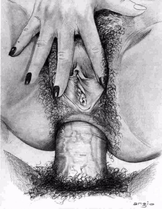 Рисование женских гениталий