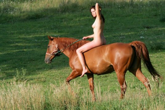 Девушки с лошадьми