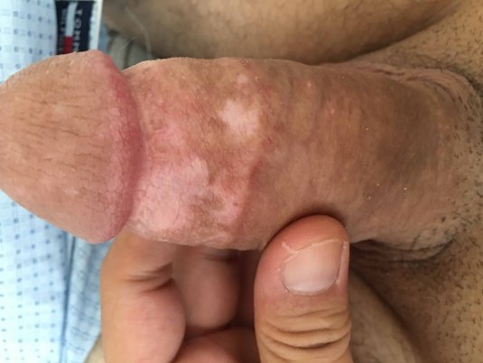 Красивый член крупным планом