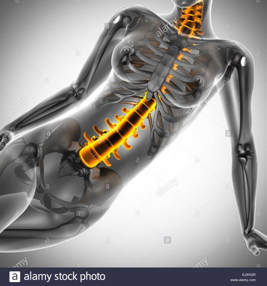 Рентген тела женщины