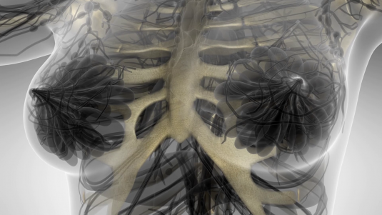 Онкология молочной железы