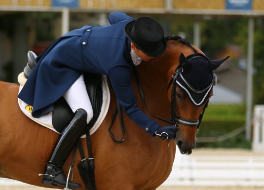 Конный спорт выездка