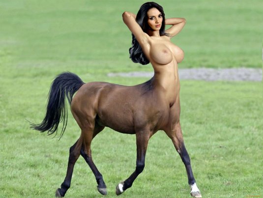 Красивая лошадь