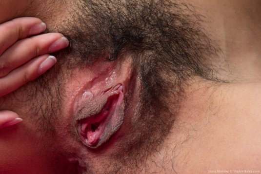 Небритая вагина крупно