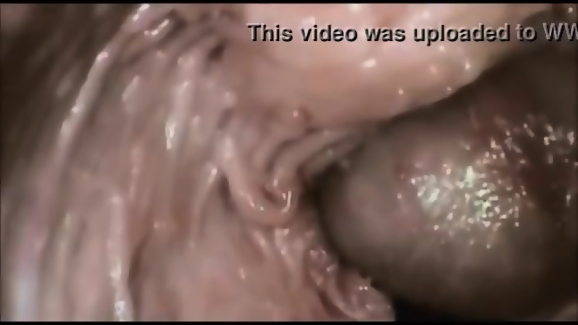 сперма влагалище в изнутри фото 75