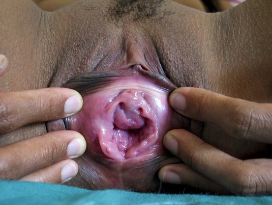 Хентай оплодотворение XRAY