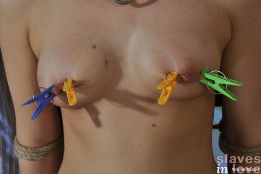 Бельевые прищепки на соски голая грудь