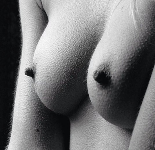 Девичья грудь