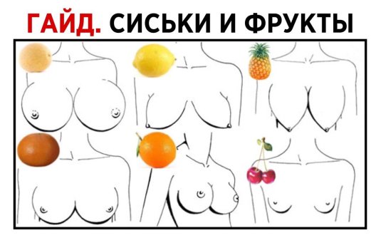 Сравнение размеров голой груди