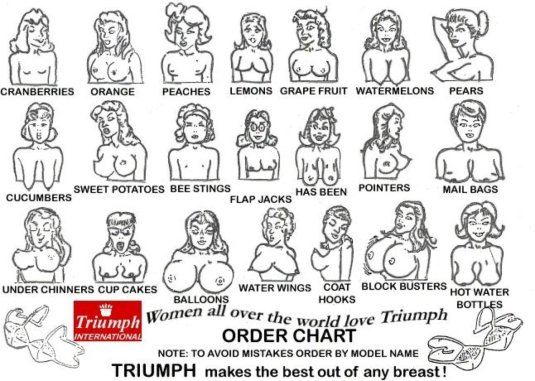 Форма женского бюста