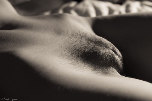 Красивые голые женские лобки