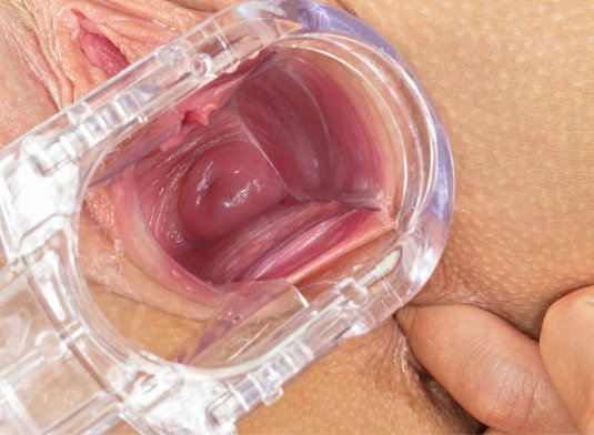 Вагина изнутри