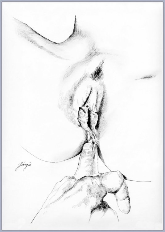 Рисунок женской вагины