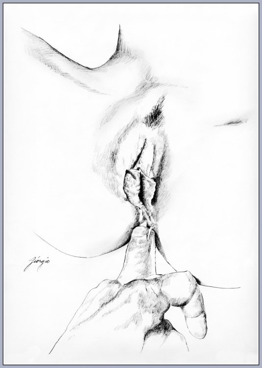 Нарисованная промежность