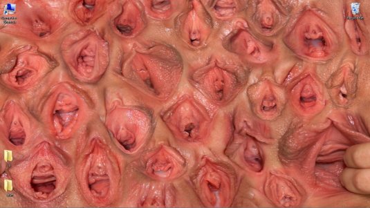 3d моделирование вагины