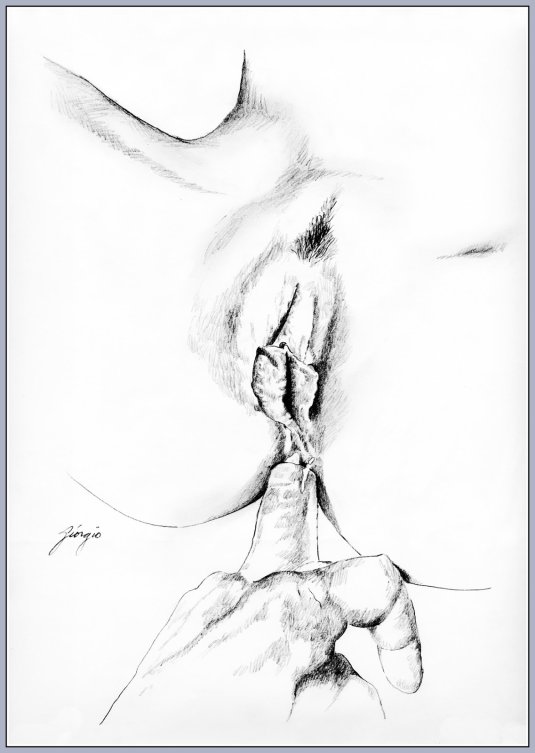 Женская половая система 3д