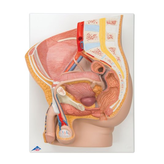 Необычные эротические рисунки