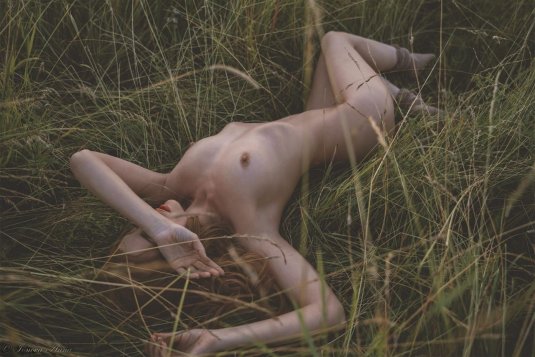 Stefan Soell фото