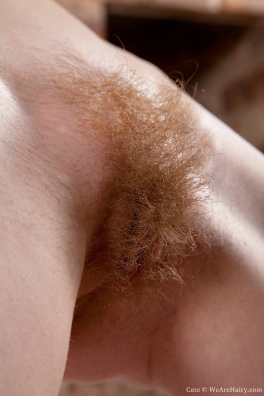 Красивый волосатый лобок