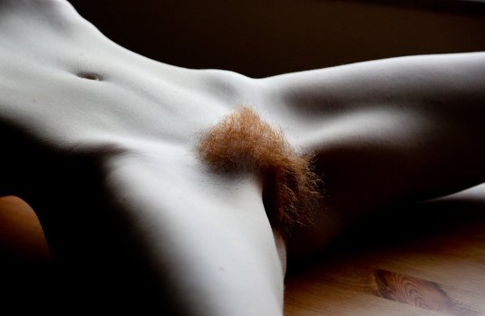 Пьяные голые волосатые женщины