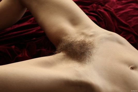 Рыжие волосатые вагины