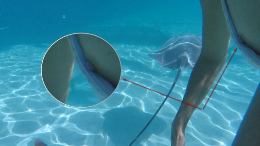 Голая Регина Тодоренко Максим