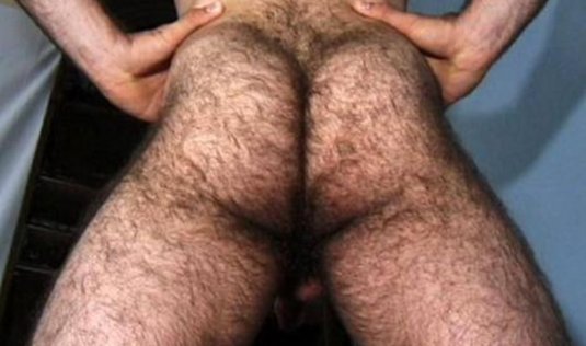 Волосатые задницы парней