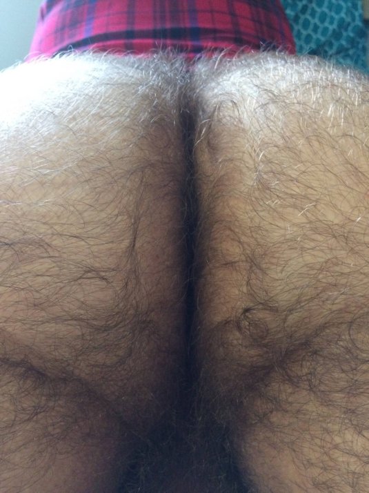 Волосатая мужская промежность