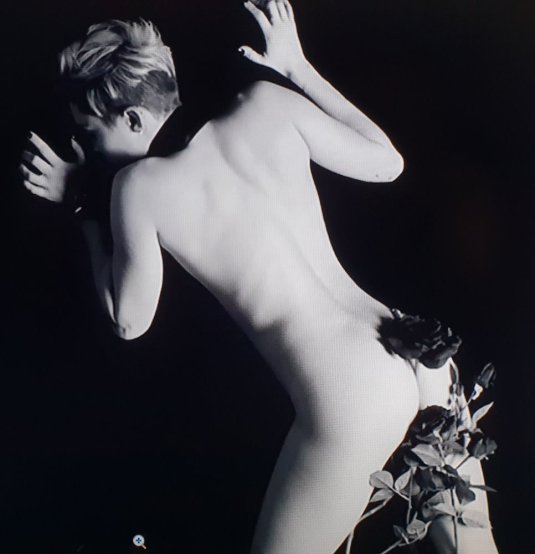 Майли Сайрус Wrecking Ball голая