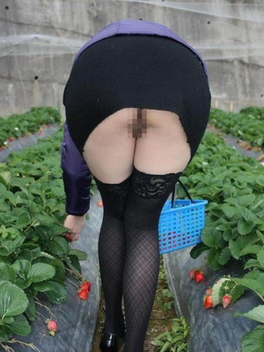 Девушки без трусов под юбкой