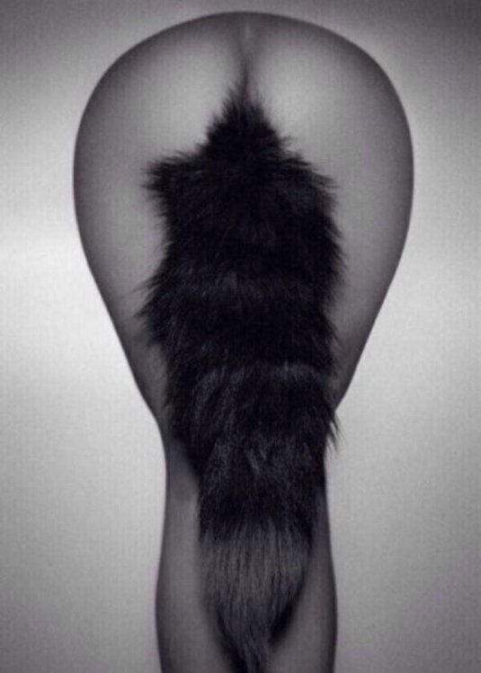 Красивый анальный хвостик