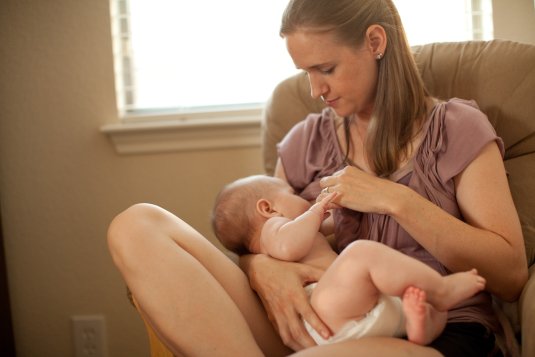 Желуди в лесу