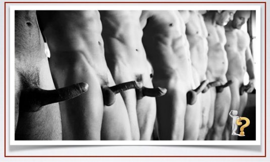 Неэрегированный пенис