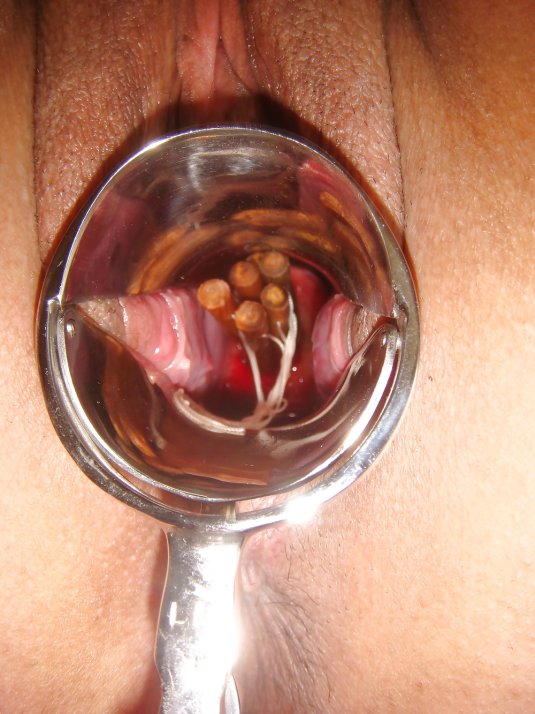 Хентай оплодотворение XRAY furry