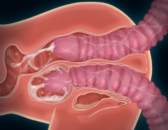 Хентай женская анатомия