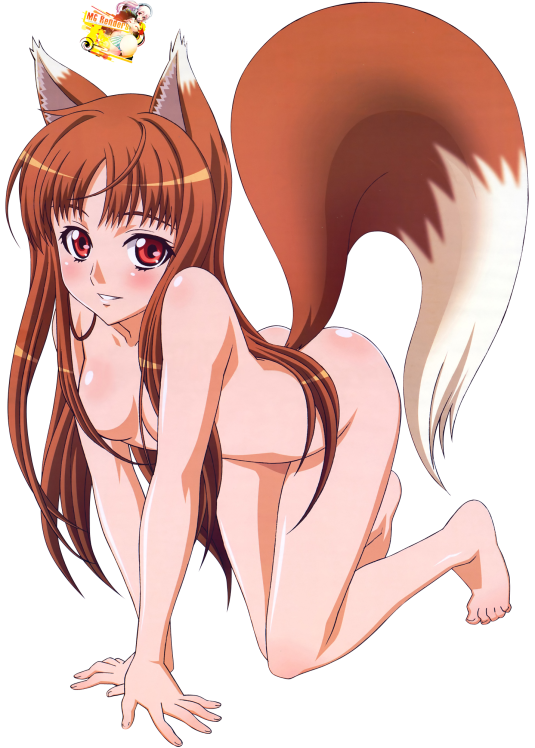 Холо «волчица и пряности» nude