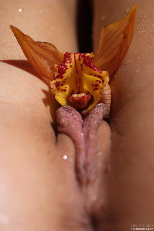 Цветок в виде женской вагины