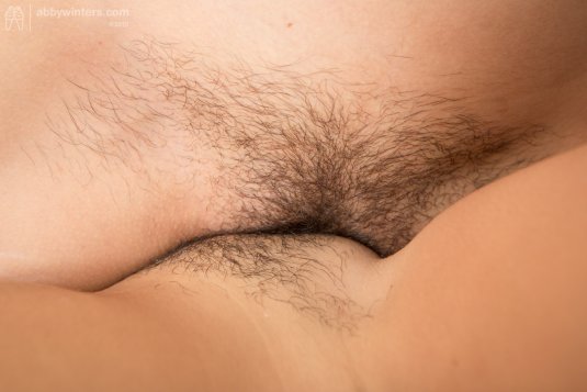 Волосатый лобок частное