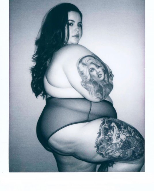 155 килограммовая модель тесс