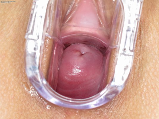 Девки кончают на камеру