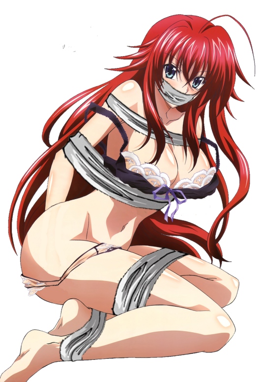 Mikomi Hokina Rias Gremory