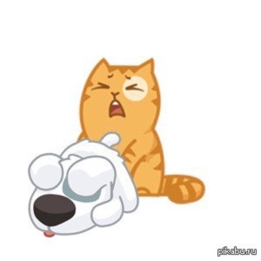 Стикер кот