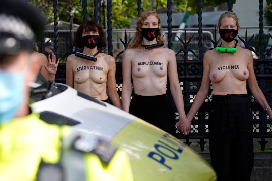 Голые женщины протестуют