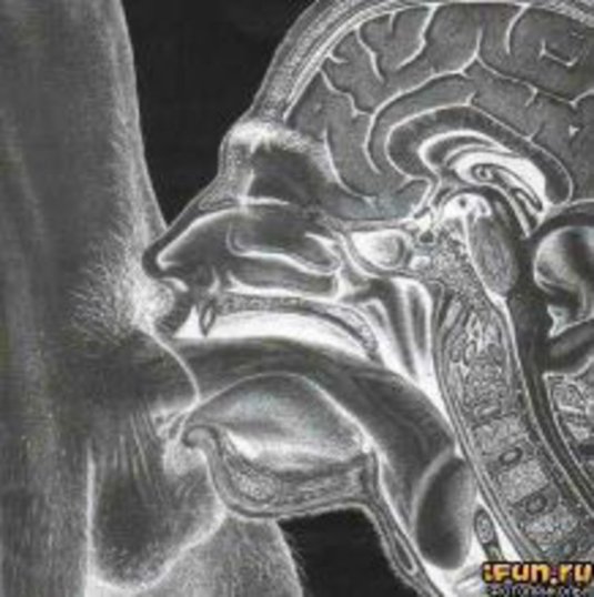 Индия саммер глубокий Миньет