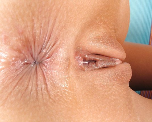 Яйца и анус крупным планом