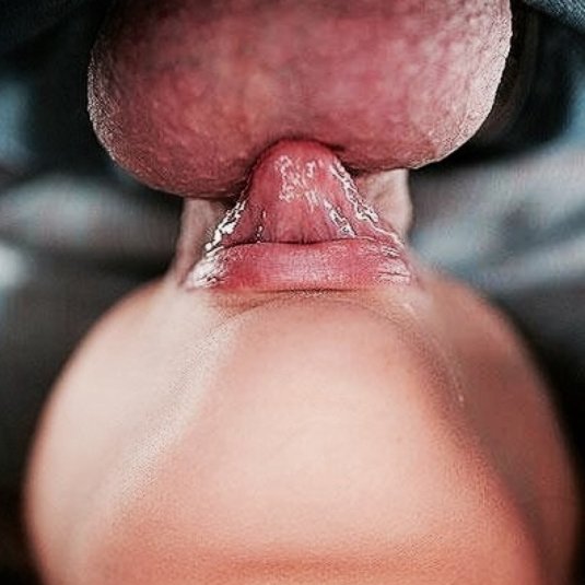 Райли Рид анал римминг